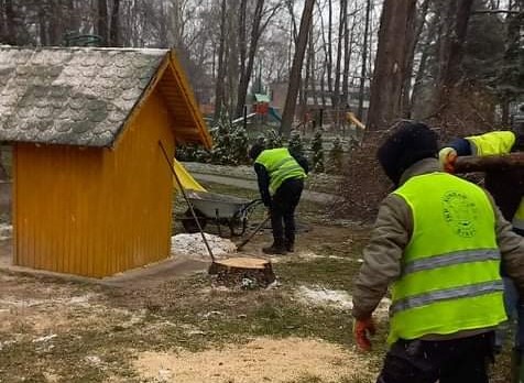 Uređenje dvorišta
