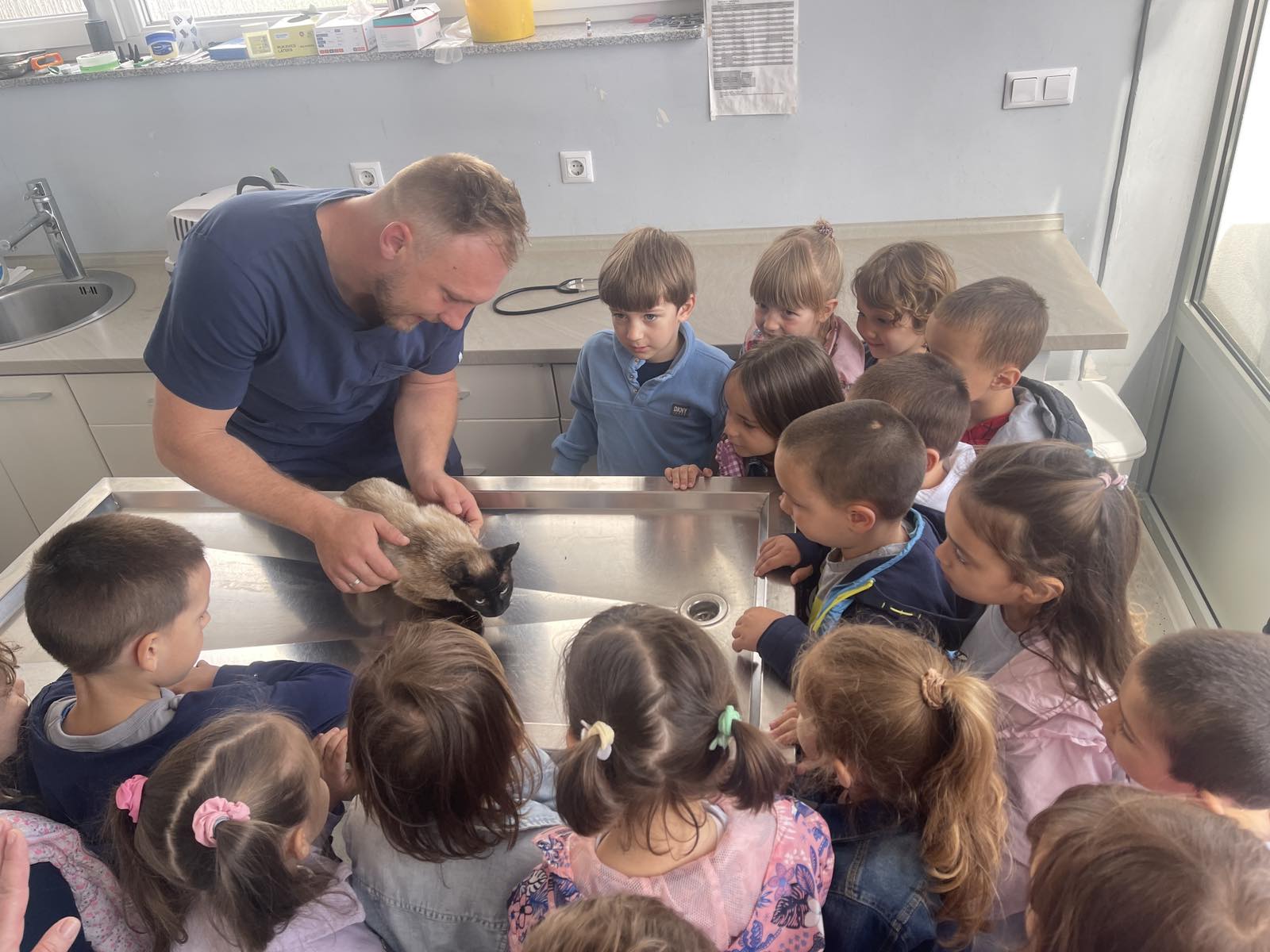 Leptirići u posjeti veterinaru